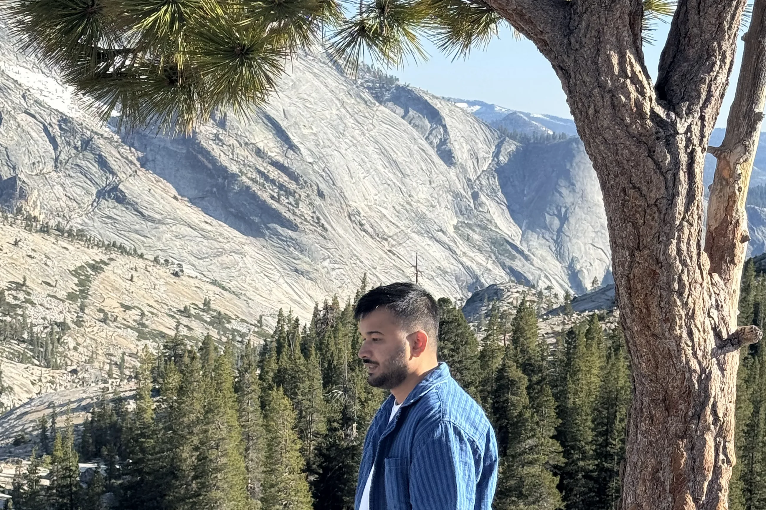 Under a pine on the granite above Tenaya Canyon, Yosemite