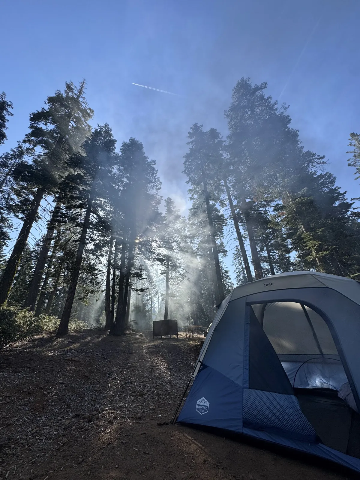 Campsite tent with sun rays through misty pines